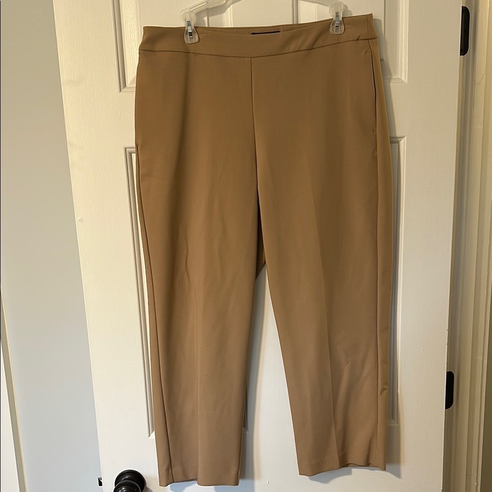 Rachel Zoe Classic stretch Tan Women's dress Pants size 10